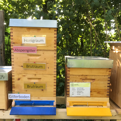 Aufbau Bienenstock.PNG