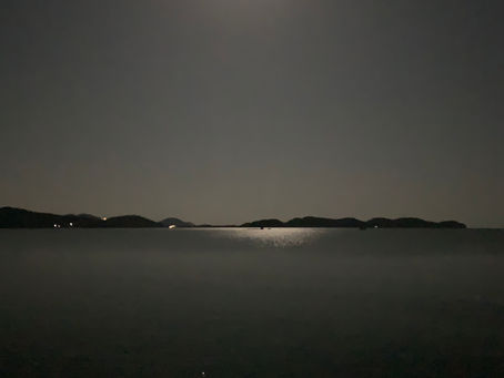 中秋の名月