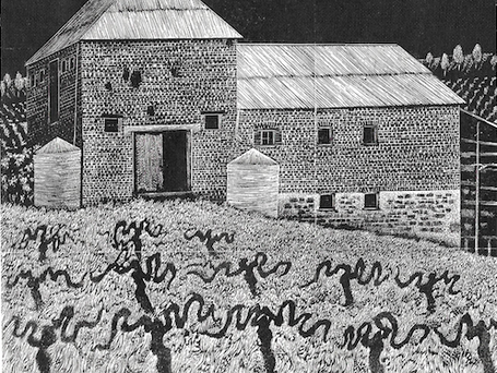 Coorinja Vineyard