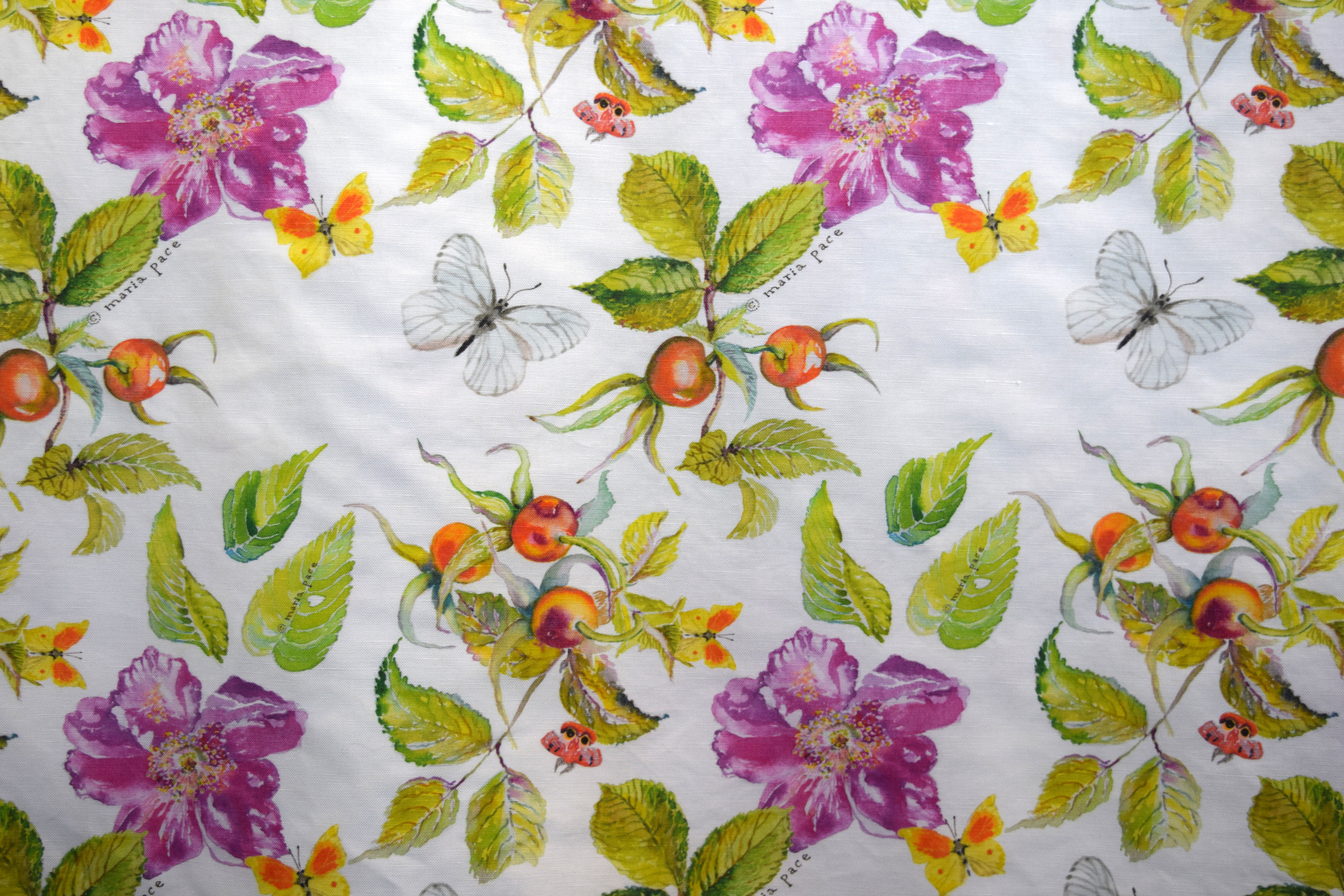 roses & rose hips