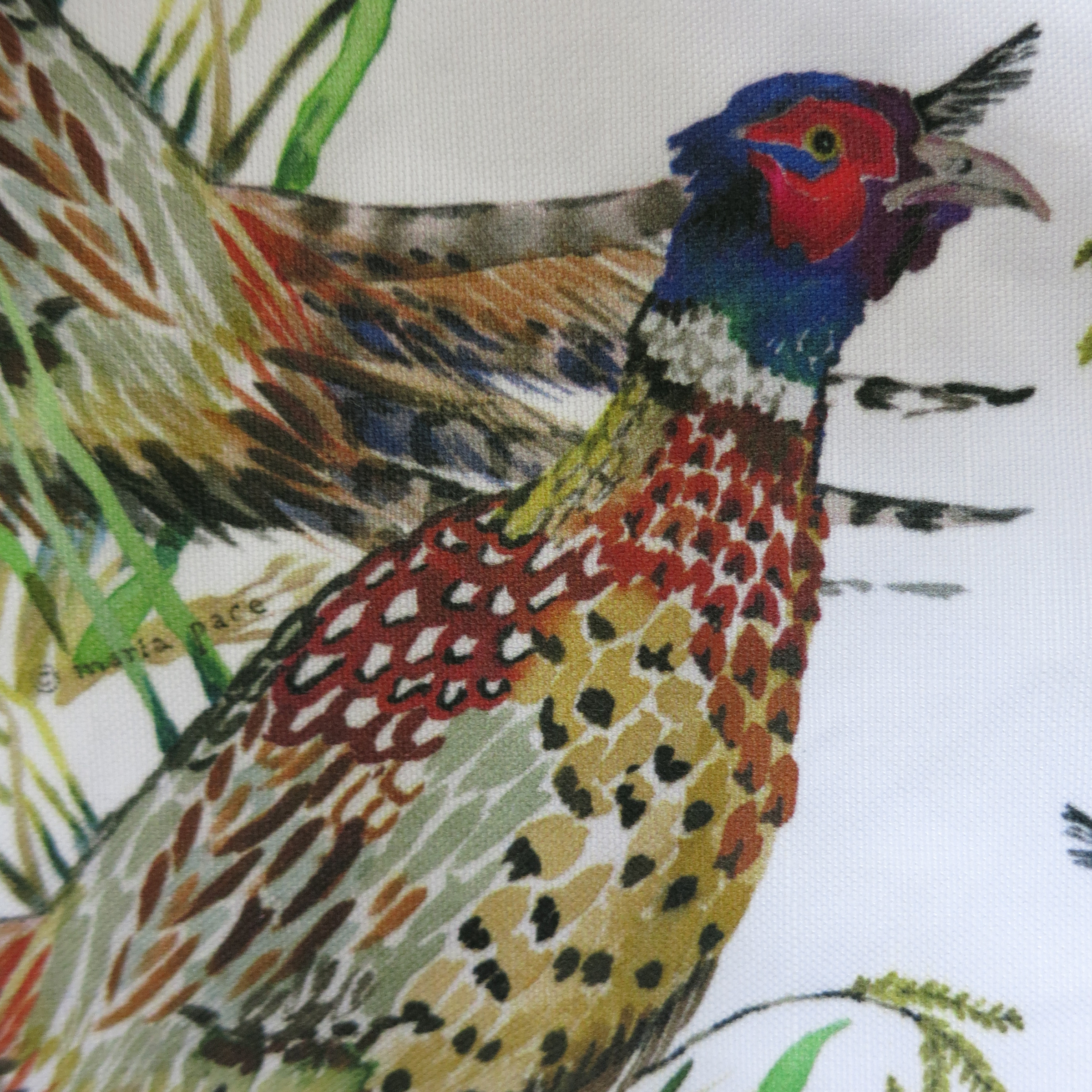 pheasants