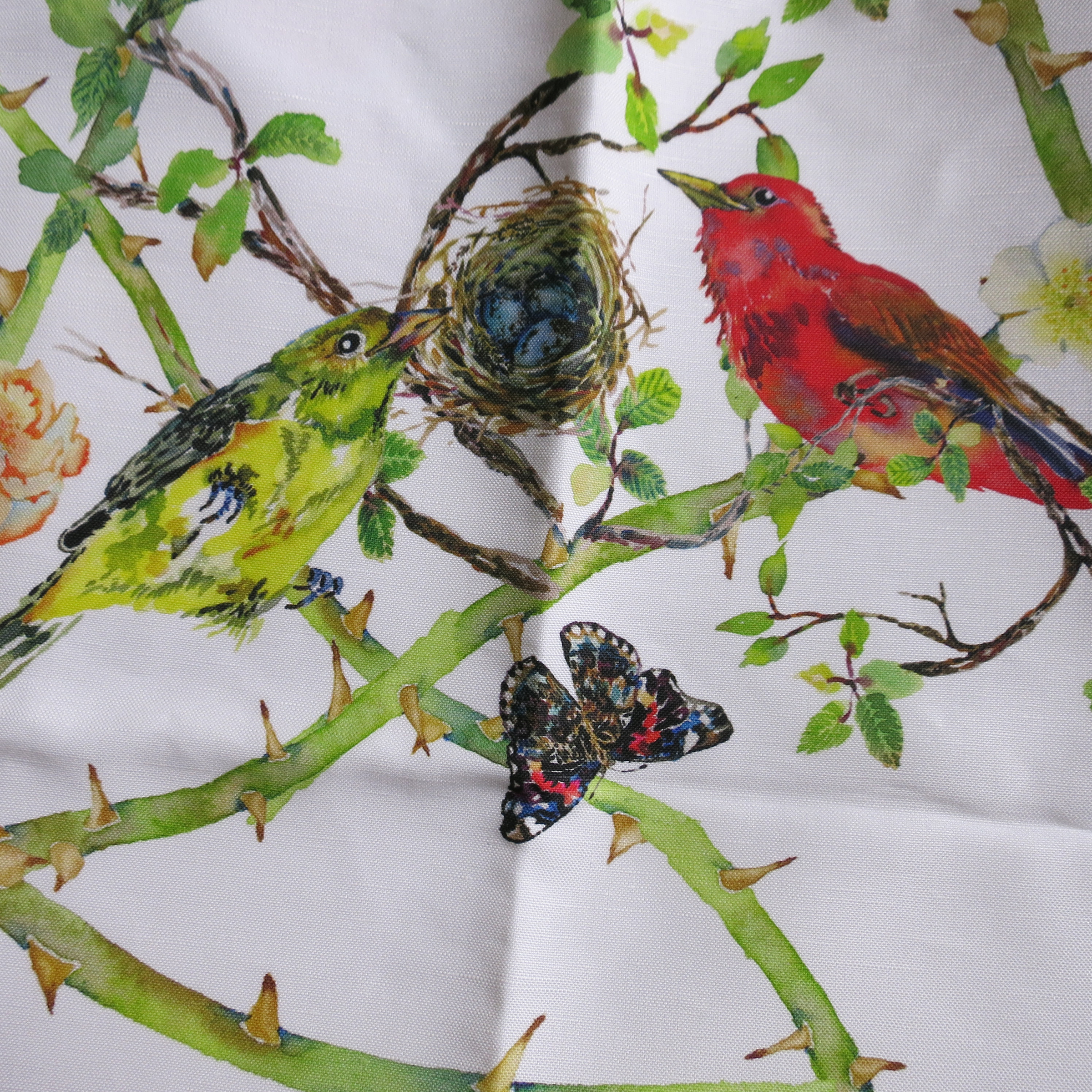 summer tanagers