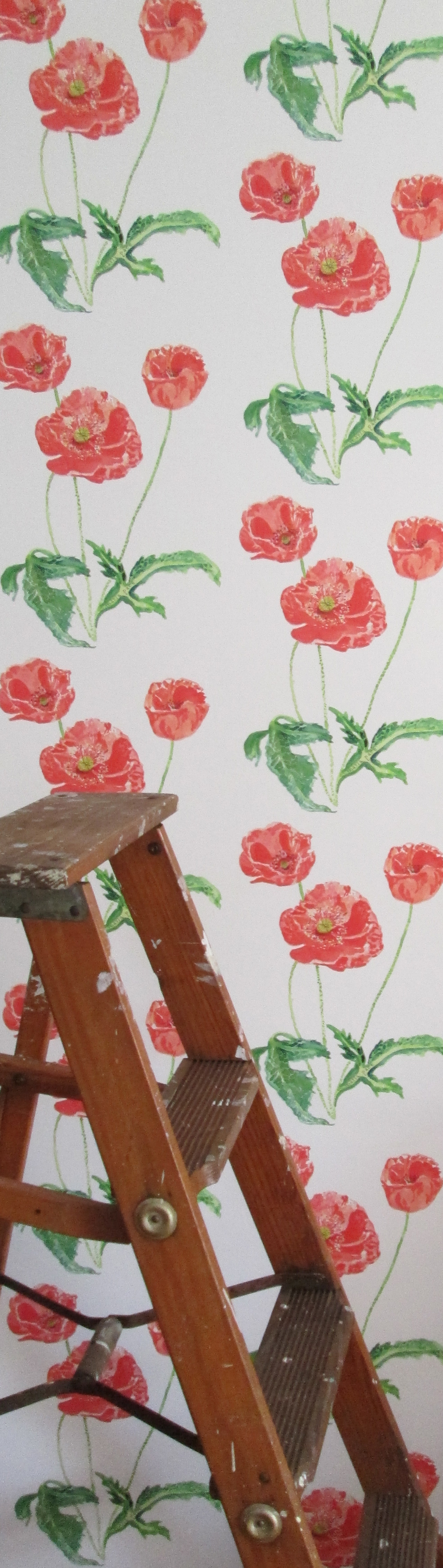 poppies wallpaper