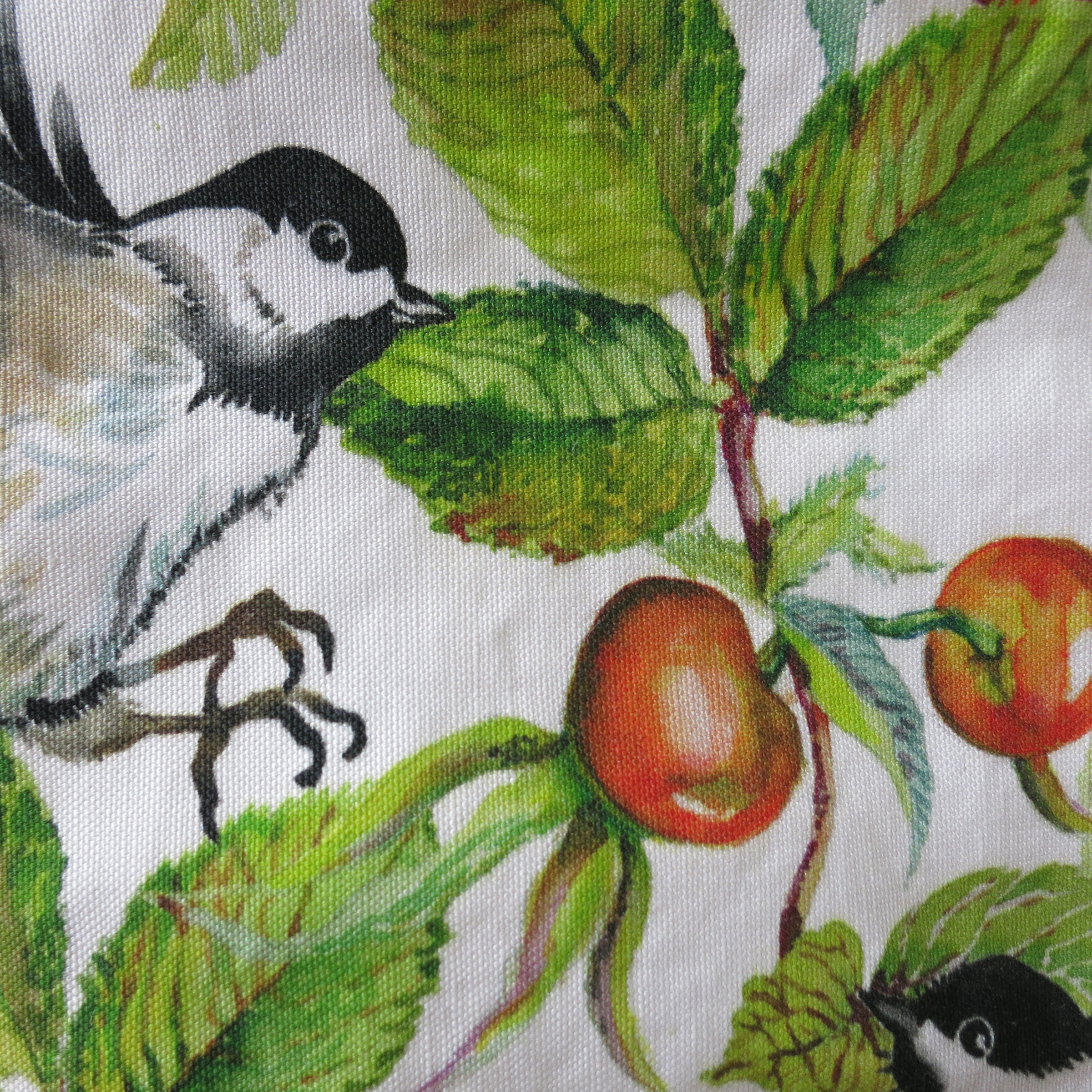 chickadees & rosehips