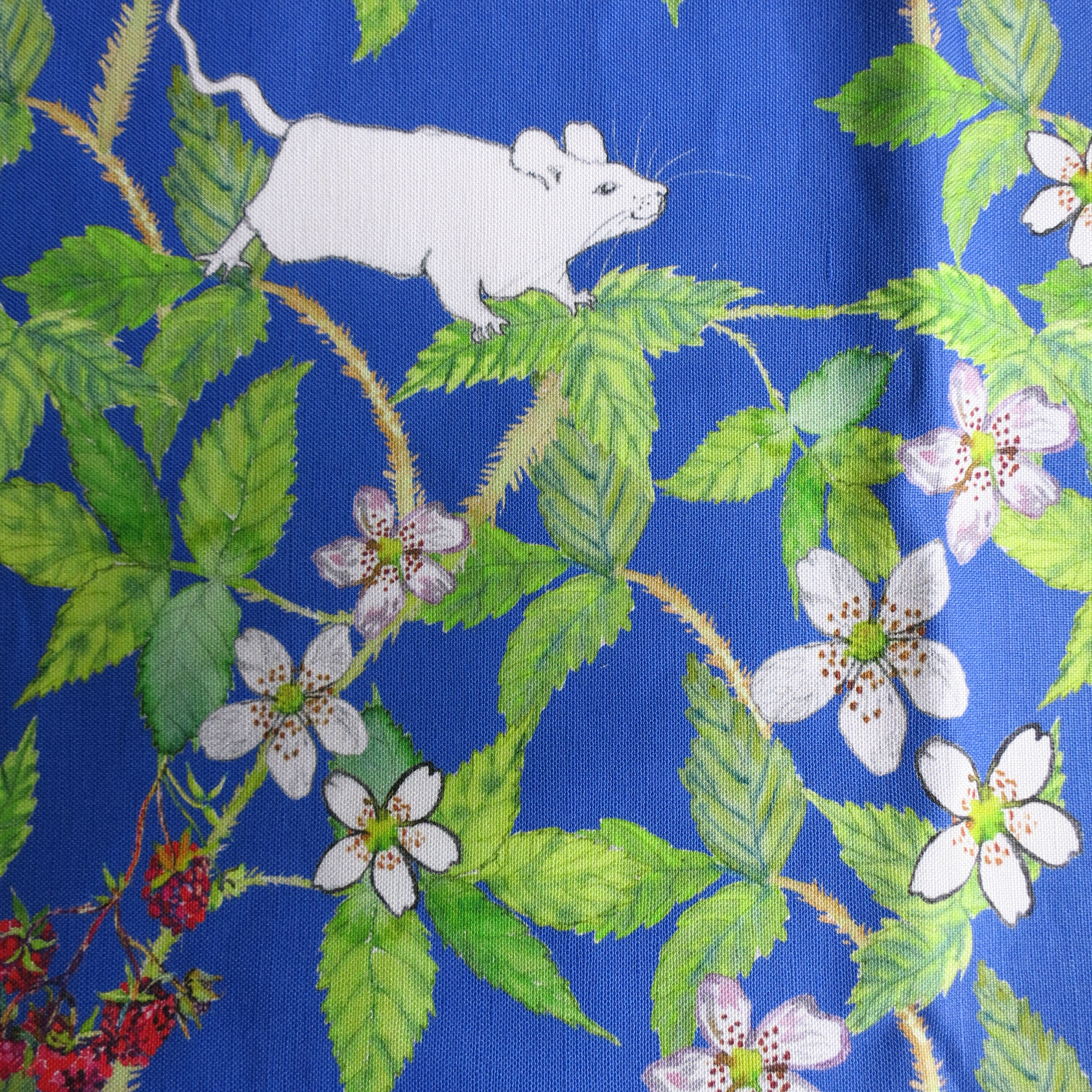 white mice and raspberries