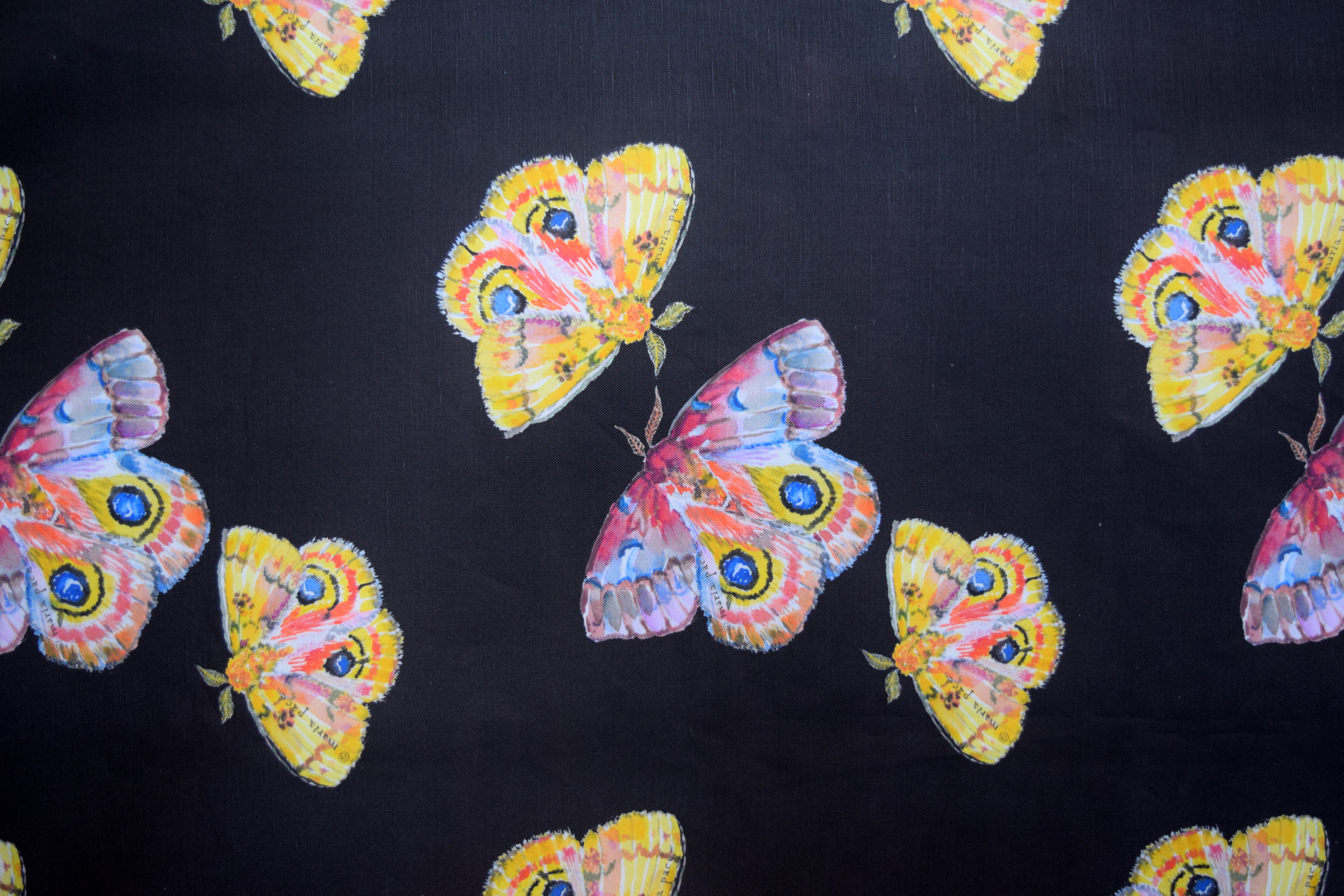 io moths