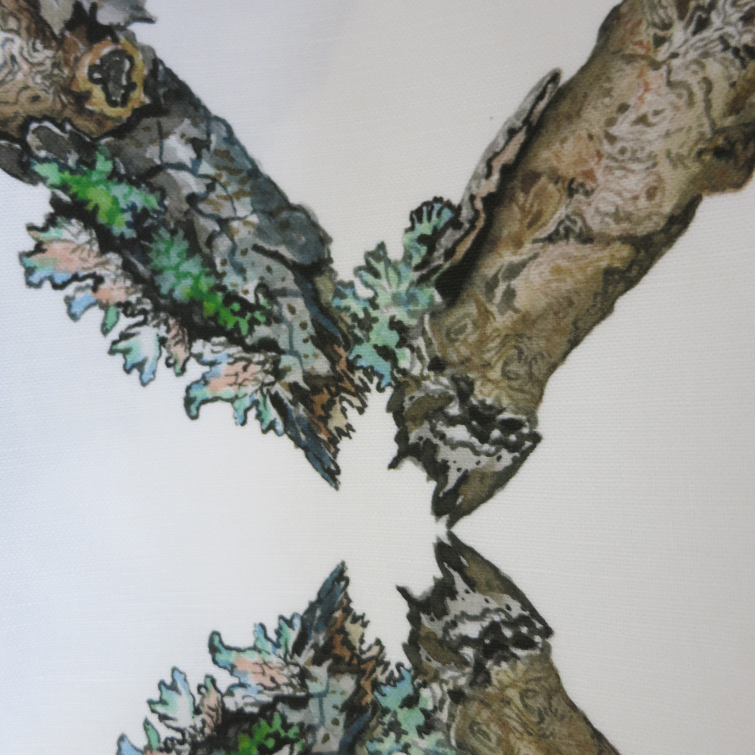 lichen trellis
