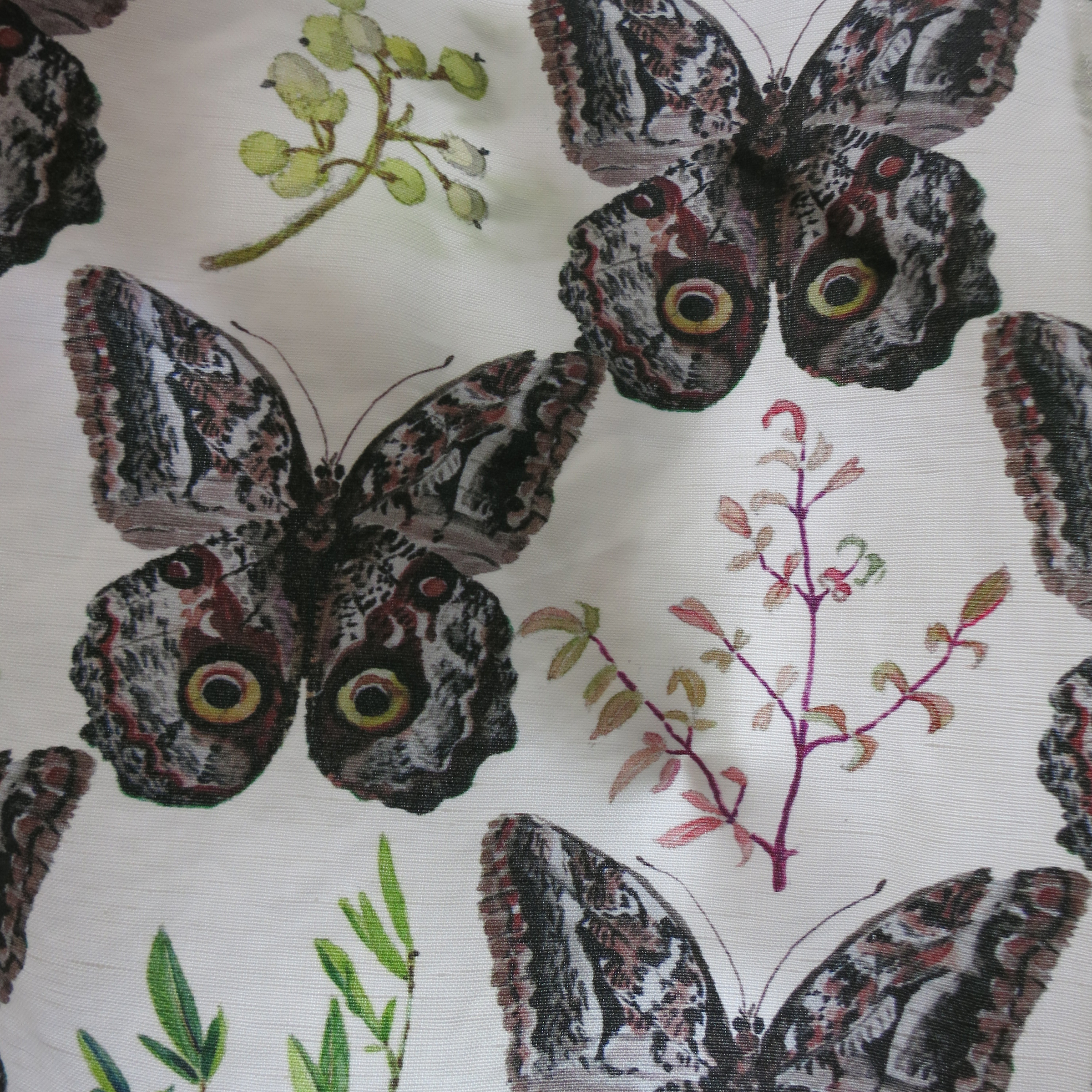 owl butterfly trellis