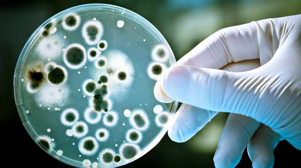 candida-acne.jpg