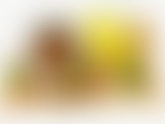 Alimentos ricos em Vitamina E