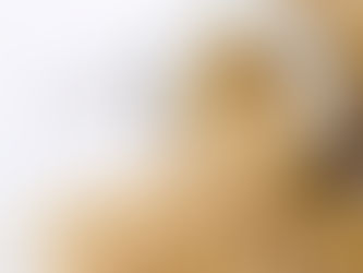 Você sabia que o arroz integral reduz a gordura abdominal?