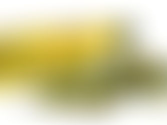 Mitos e Verdades sobre o Azeite de Oliva