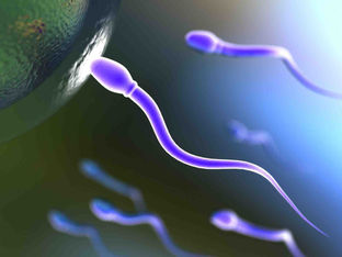 Os melhores nutrientes para a fertilidade do homem