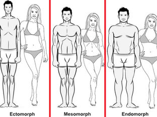 Qual seu tipo de corpo na musculação?