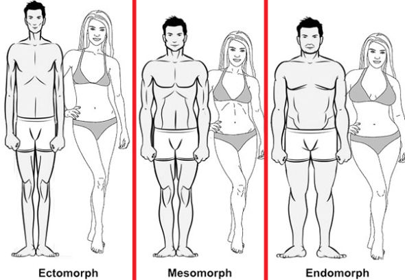 body_types1.jpg