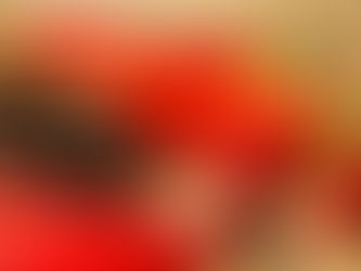 Conheça alimentos afrodisíacos para o corpo