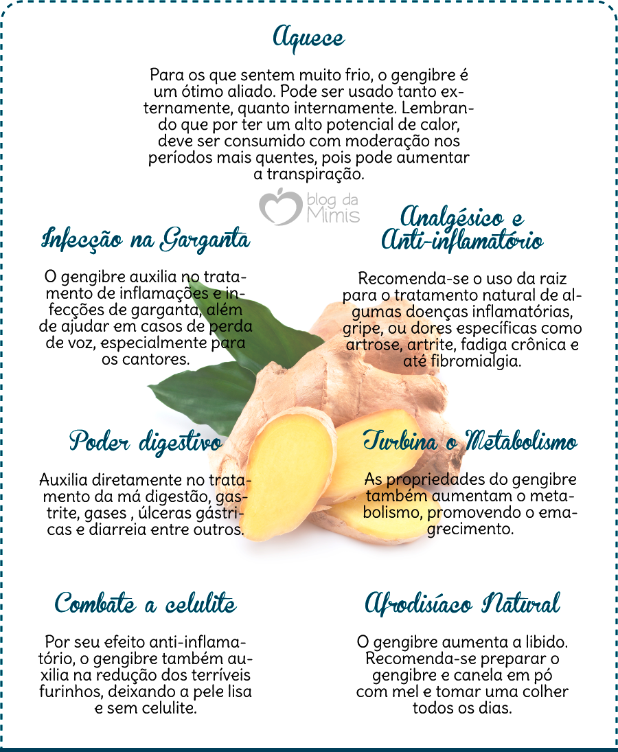 O-poder-do-gengibre-no-emagrecimento-e-na-saúde-blog-da-mimis-michelle-franzoni-