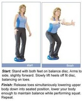 Stability Disc Mysite