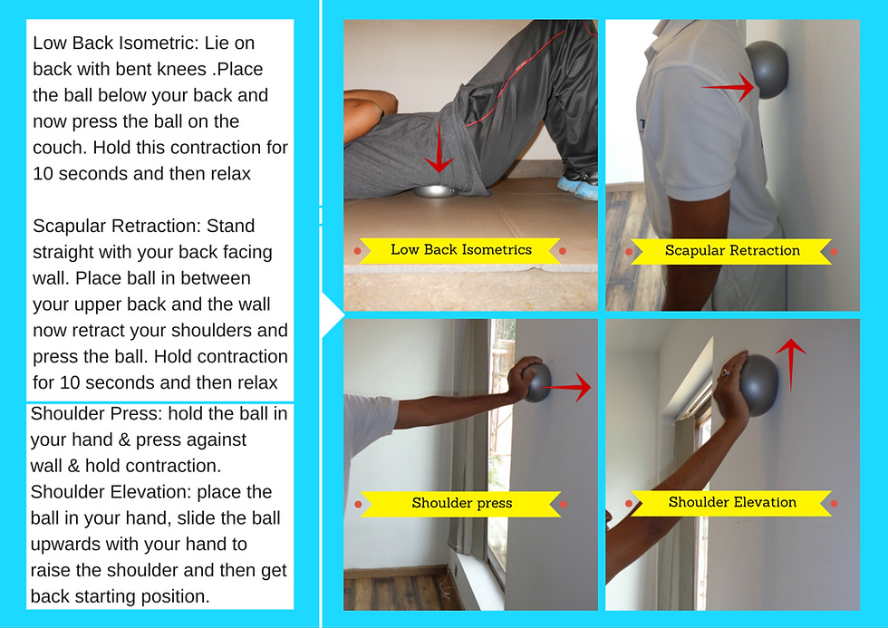 Thumbnail: Physio Plus ball
