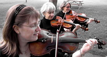 Triola Trio 1. jpg.jpg