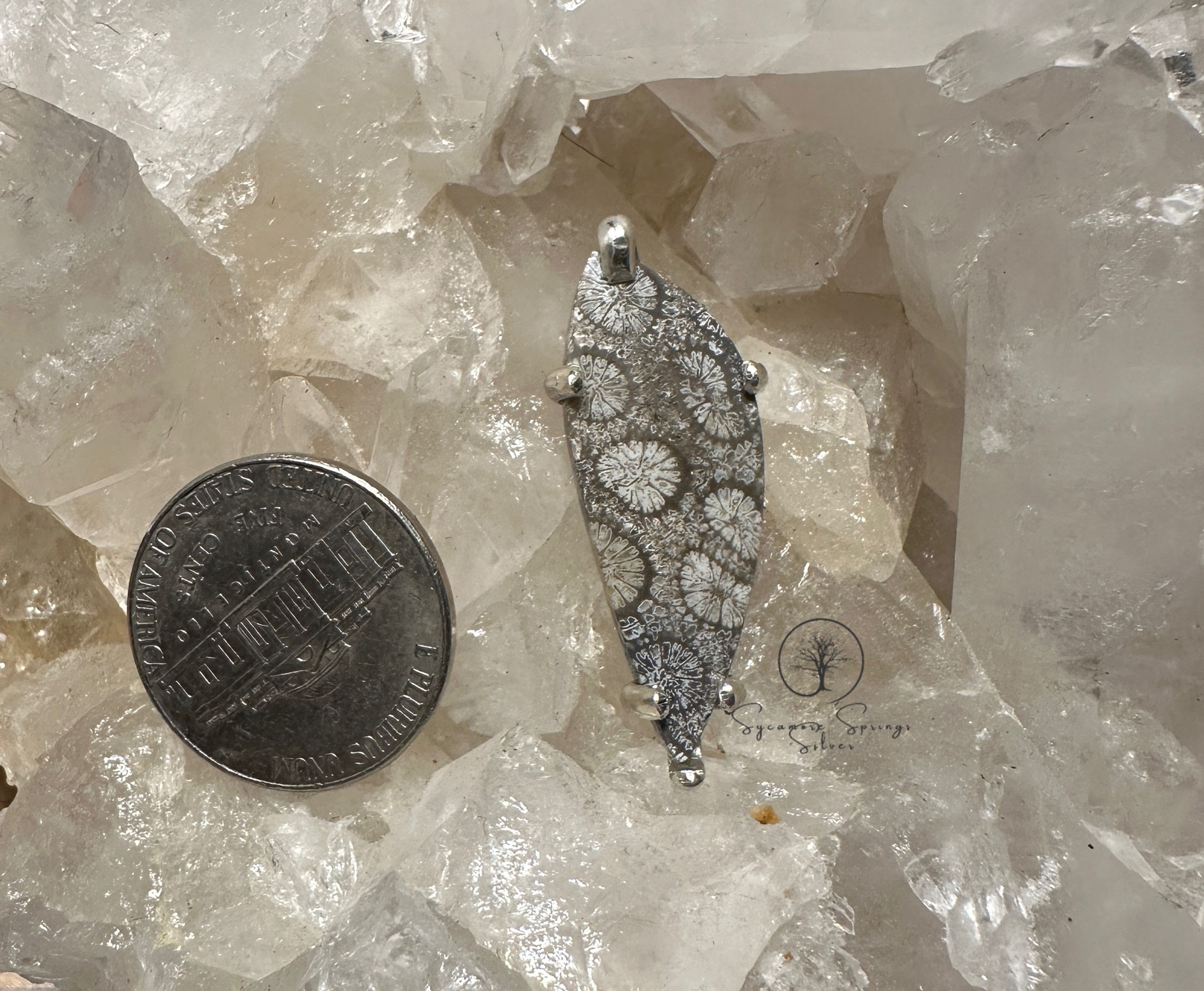 Fossil Coral Pendant with 20 inch  sterling silver chain 