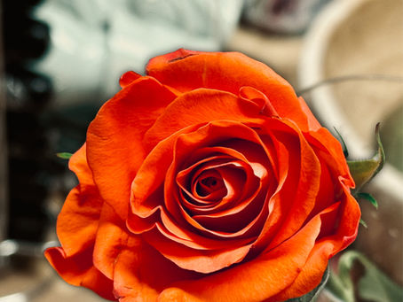 Düfte und ihre Wirkung: Entspannung und innere Ruhe durch Gerüche