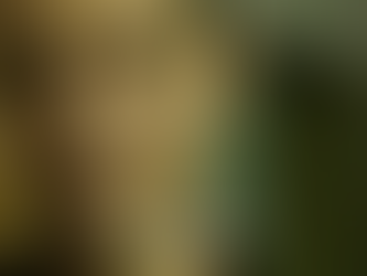 The Queen of Evidence: Israel’s Torture and its Genocide in Gaza