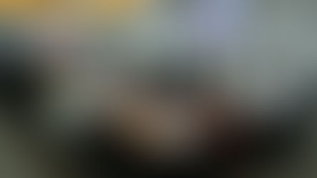 El Comité Directivo del FEPCACAO aprobó variables para el cálculo de la franja de precios del primer trimestre de la vigencia 2026