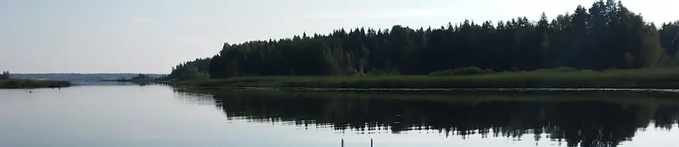 Järvi Suomessa
