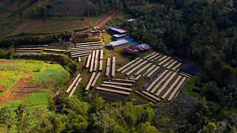 Busanze Washing Station