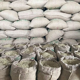 Location: Agaro, Jimma, Ethiopia