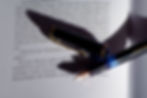 Preise Scriptdoktor