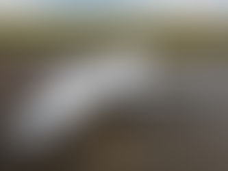 SkyWest Reports First Quarter 2023 Net Loss of $22 Million or $0.45 per Diluted Share