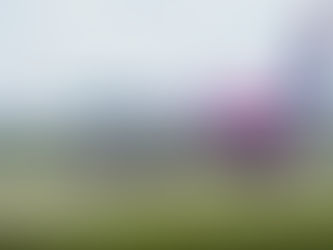 Wizz Air Reports Fiscal First Quarter 2026 Net Profit of €38.4 Million