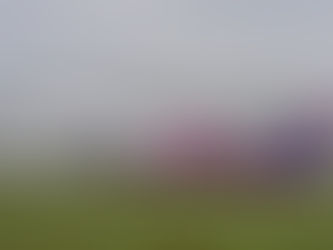 Wizz Air Abu Dhabi to Launch New Service to Samarkand From December 13, 2022