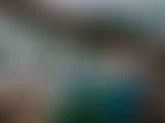 Frontier Airlines Launches Service Between Orlando and Guadalajara, Denver-West Palm Beach Flights