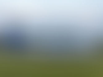 Pilot Strike Takes Financial Toll on SAS as Airline Seeks DIP Financing