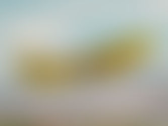 Spirit Airlines to Resume Daily Nonstop Service Between Fort Lauderdale and Managua, Nicaragua