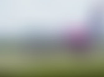 Wizz Air Announces Gradual Closure of Base in Vienna, Austria