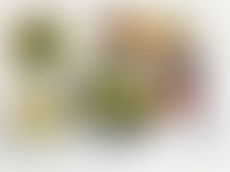 LATAM Launches New Premium Business Menu Featuring the Flavors of Latin America