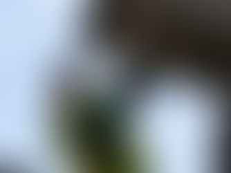 Boeing Purchases 9.4 Million Gallons of Blended Sustainable Aviation Fuel