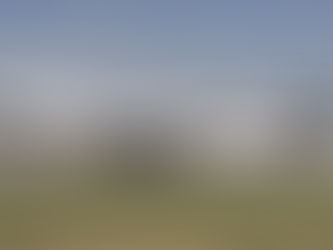 Volaris Reports Second Quarter Net Income of $78 Million on 38 Percent Revenue Increase Versus 2019