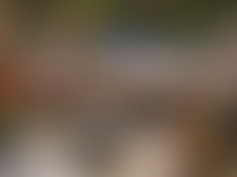 American Airlines to Open New, Expanded Admirals Club Lounge in Austin