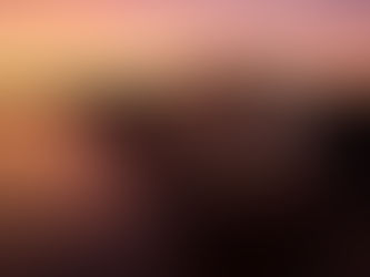 Allegiant Travel Company Opens Much Anticipated Sunseeker Resort in Southwest Florida