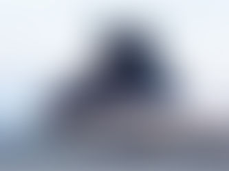 Porter Airlines to Offer Summer Service to Muskoka, Ontario From June 24, 2022