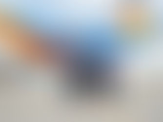 Allegiant Unveils New Special Livery Dedicated to Employees at Punta Gorda, Florida Ceremony