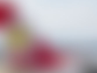 Edelweiss to Add Five More A320neos by 2028