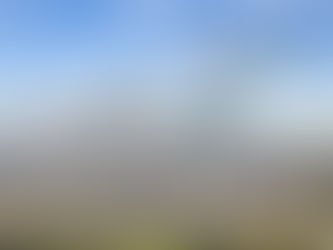 WestJet Places Their Largest-Ever Boeing Order