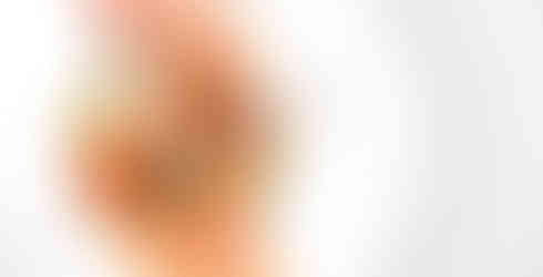 A cold starter of roasted langoustine and roasted head velvet infused with chestnut honey and rosemary served in La Première on Air France - Courtesy Air France