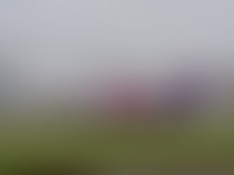 Wizz Air Holdings to Suspend Wizz Air Abu Dhabi Operations